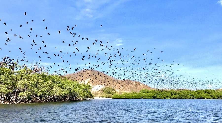 padar island komodo